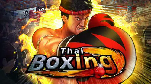 Thai Boxing - Spin City - Congo